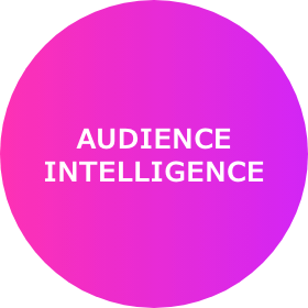 audience intelligence